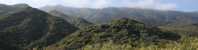 Wheeler Gorge Campground Wheeler Gorge National Trail Ojai California Los Padres National Forest