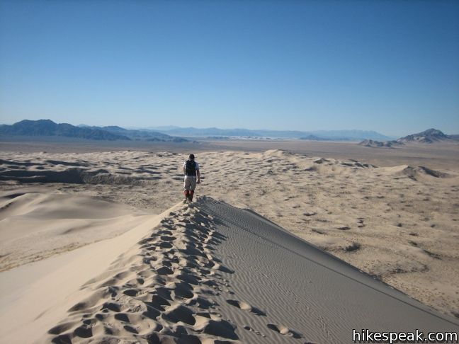 Kelso Dunes