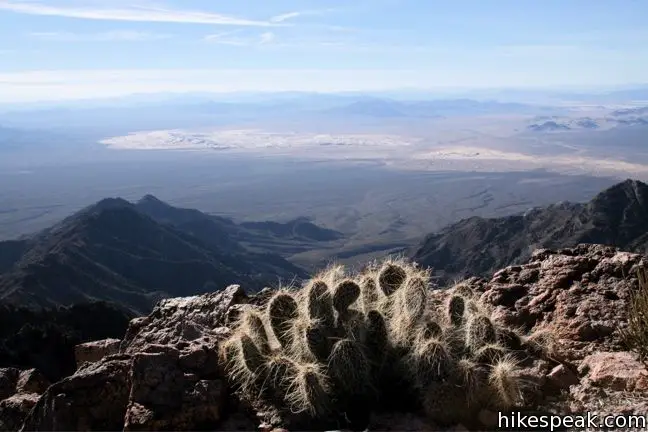 Fountain Peak Mojave