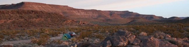 Mojave National Preserve where to camp