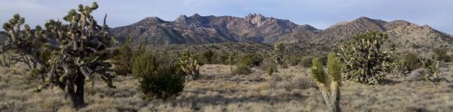 New York Peak Trail Mojave National Preserve hike