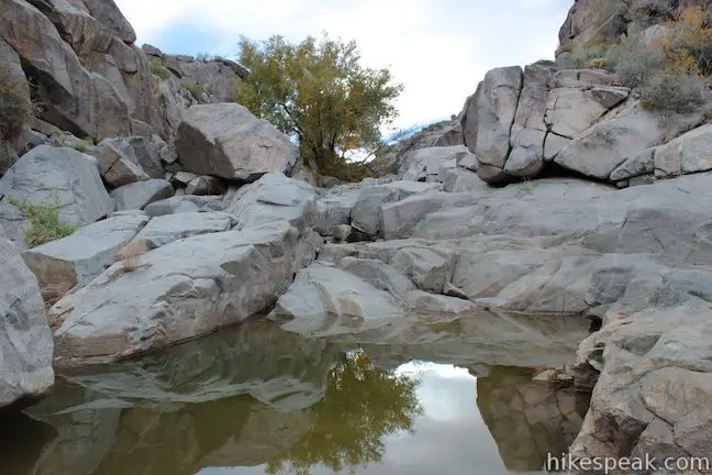 Rock Spring Loop Trail