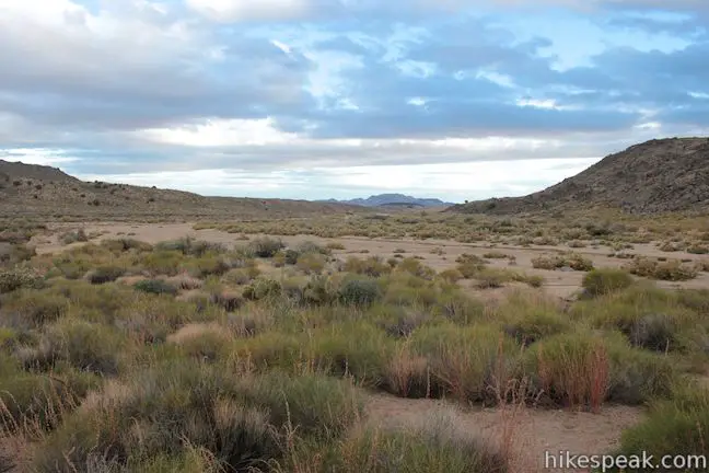 Watson Wash Mojave National Preserve
