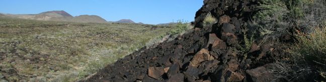 Mojave Desert Petroglyphs