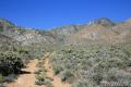 Silver Peak Mojave