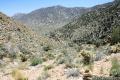 Silver Peak Mojave