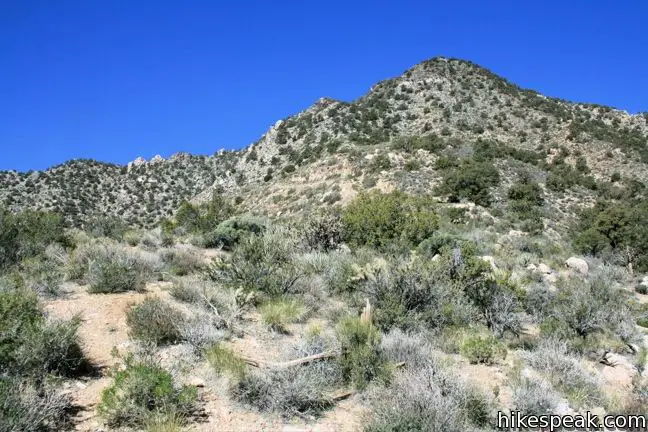 Silver Peak Trail Granite Mountains Mojave
