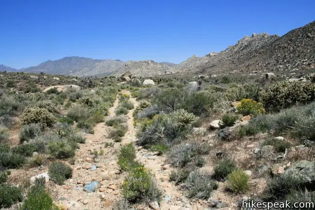 This 8.5-mile hike summits a 6,365-foot peak in the Granite Mountains in Mojave National Preserve.