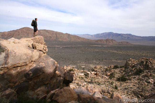 This 3.4 to 4-mile hike in Mojave National Preserve crosses the world's densest Joshua tree forest, passing an abandoned silver mine to reach a rocky summit with views of Cima Dome.