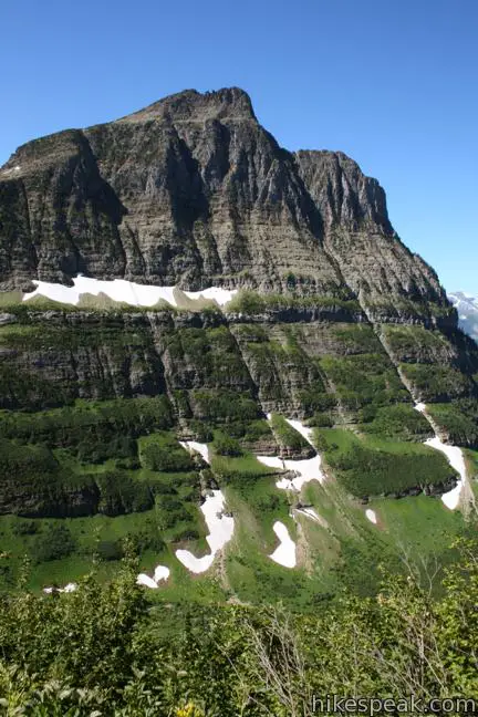 Highline Trail Glacier National Park