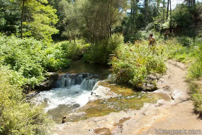 Kerosene Creek Walk