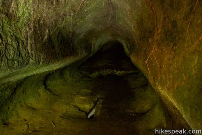 Tutea's Cave Okere Falls Scenic Reserve