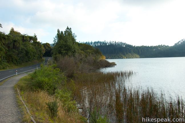 Blue Lake Track Rotorua