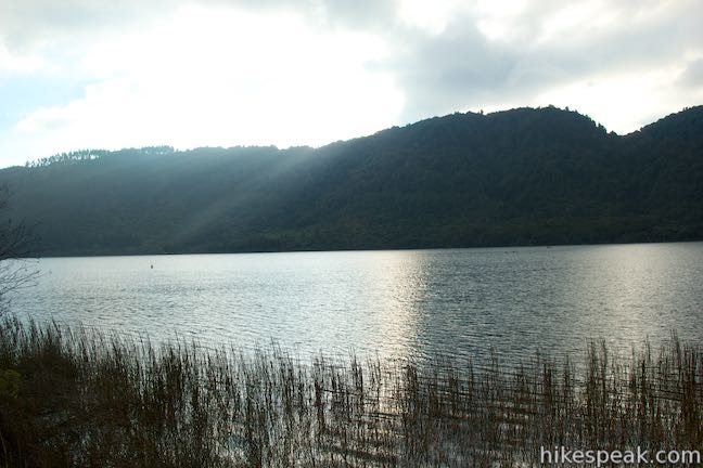 Blue Lake Tikitapu Lake Rotorua