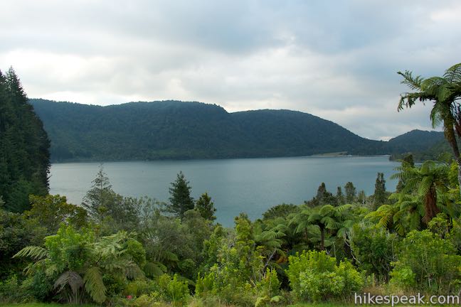 Tikitapu Lookout Blue Lake