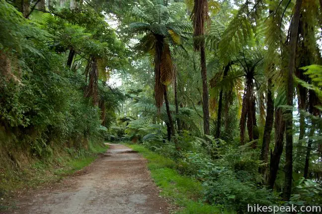 Blue Lake Track