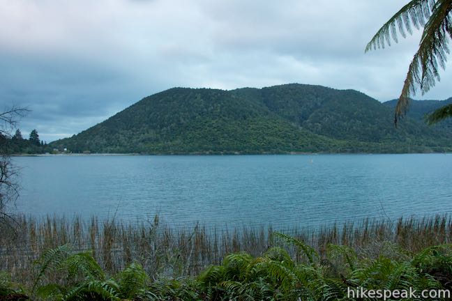 Blue Lake Rotorua