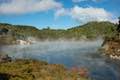 Waimangu Volcanic Valley Frying Pan Lake