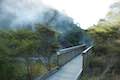 Waimangu Volcanic Valley Bird's Nest Terrace