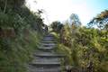 Waimangu Volcanic Valley Mount Haszard Hiking Trail