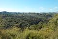 Waimangu Volcanic Valley Eastern Valley Panorama