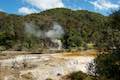 Waimangu Volcanic Valley Marble Terrace and Buttresses 