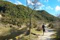 Waimangu Volcanic Valley Waimangu Stream