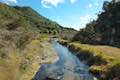 Waimangu Volcanic Valley Waimangu Stream