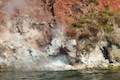 Lake Rotomahana Steaming Cliffs Geyser