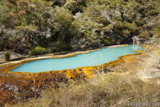 Waimangu Volcanic Valley Warbrick Terrace