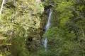 Avalanche Creek Waterfall