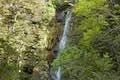 Avalanche Creek Waterfall