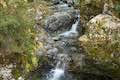 Avalache Creek Waterfall