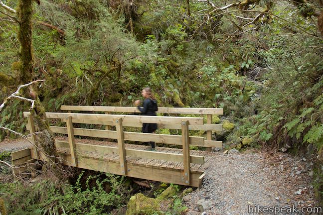 Arthur's Pass Walking Track