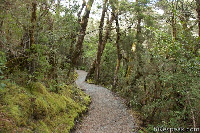 Arthur's Pass Walking Track