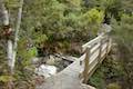 Arthur's Pass Walking Track