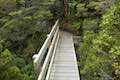 Arthur's Pass Walking Track