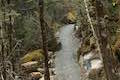 Arthur's Pass Walking Track