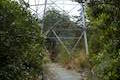 Arthur's Pass Walking Track