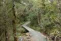 Arthur's Pass Walking Track