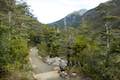 Arthur's Pass Walking Track