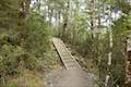 Arthur's Pass Walking Track