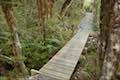 Arthur's Pass Walking Track