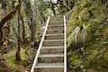 Arthur's Pass Walking Track