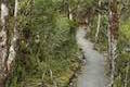 Arthur's Pass Walking Track