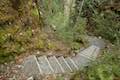 Arthur's Pass Walking Track