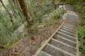 Arthur's Pass Walking Track