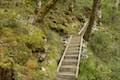 Arthur's Pass Walking Track