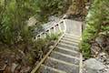 Arthur's Pass Walking Track