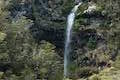 Arthur's Pass Walking Track Bridal Veil Falls Lookout